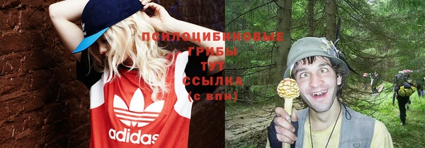 гашиш Аркадак