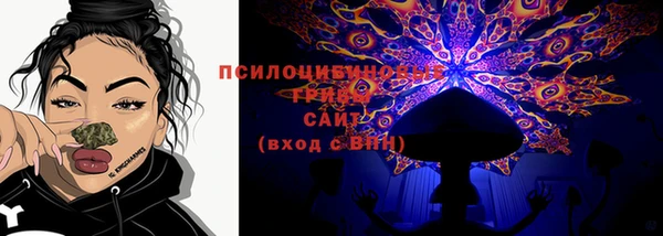 соль ск Армянск
